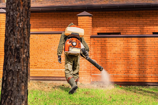 Top rated local Cockroach Control specialists in Winfield, MO